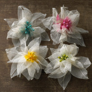 Webster Pages Florettes