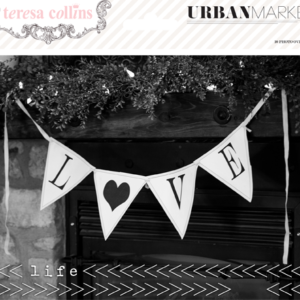 Teresa Collins Urban Market Photo Overlays
