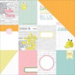 Pink Paislee Citrus Bliss 12 x 12 - Hello