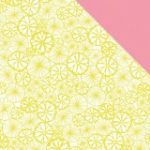 Pink Paislee Citrus Bliss 12 x 12 - Squeeze