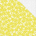 Pink Paislee Citrus Bliss 12 x 12 - Seeds