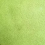 Art Anthology Colorations Color Spray - Avocado