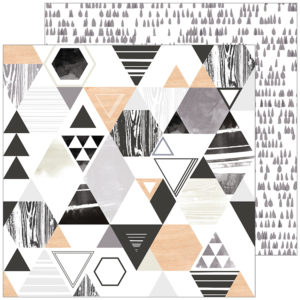 Pinkfresh Studio - Escape the Ordinary Collection - 12 x 12 Double Sided Paper - Observe