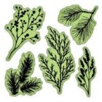 Inkadinkado - Stamping Gear Collection - Inkadinkaclings - Rubber Stamps - Branches