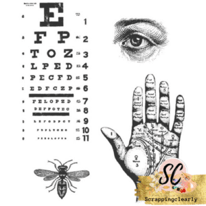 Stampers Anonymous - Tim Holtz - Cling Mounted Rubber Stamp Set - Oddities