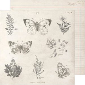 Notebook - Heidi Swapp Storyline Chapters Double-Sided Cardstock 12"