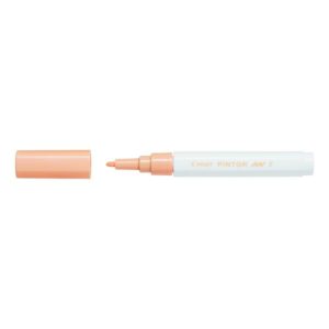 Pilot Pintor Fine Tip Pale Orange