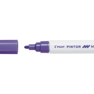 Pilot Pintor Medium Tip Violet