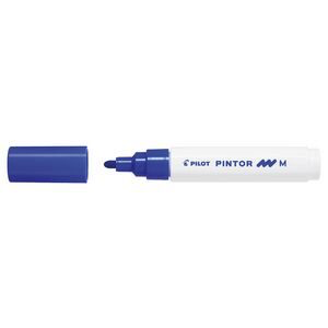 Pilot Pintor Medium Tip Blue