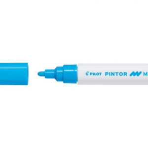 Pilot Pintor Medium Tip Light Blue