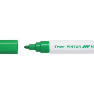 Pilot Pintor Medium Tip Light Green
