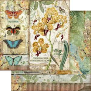 Stamperia Double-Sided Cardstock 12"X12"-Orchid and Butterfly, Amazonia