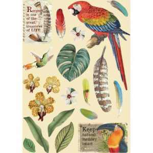 Stamperia Wooden Shapes A5 - Parrot, Amazonia