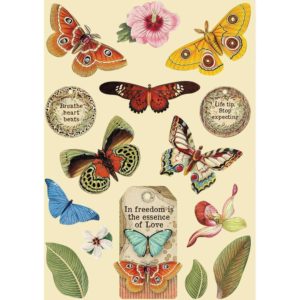 Stamperia Wooden Shapes A5 - Butterfly Amazonia