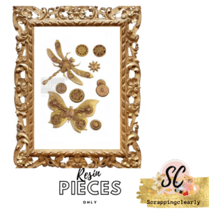Insecta & Stars Resin - 8 Pieces