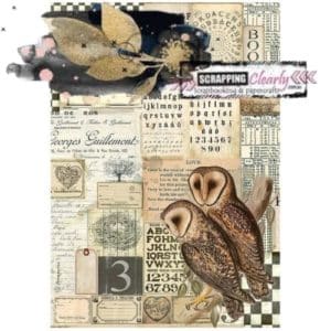 Stamperia Rice Paper Sheet A4 - Owls, Alchemy