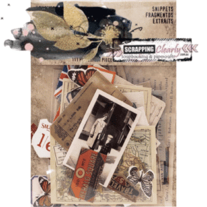 Idea-Ology Ephemera Snippets 111/Pkg - Fragments