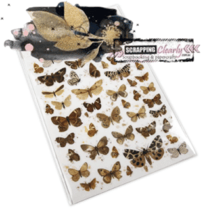 49 And Market Essential Rub-Ons 6"X8" 2/Sheets - Butterflies