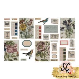 Tim Holtz - Idea-ology - Transparent Things 2