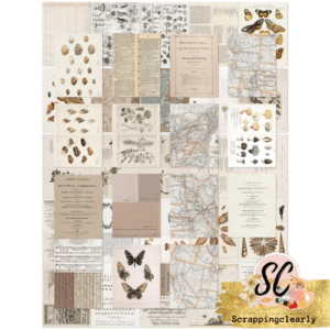 49 And Market Collage Sheets 6"X8" 40/Pkg - Color Swatch Toast