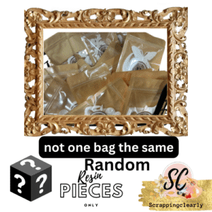 LUCKY Findings Random Resins - 5 Pieces