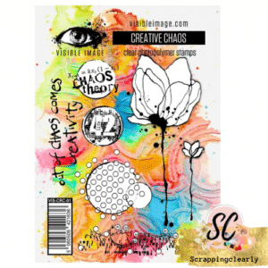 Visible Image Face It - Creative Chaos