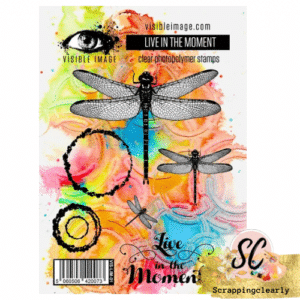 Visible Image Face It - Live in the Moment