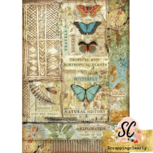 Stamperia Rice Paper Sheet A4 Amazonia - Butterfly4533
