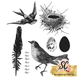 Tim Holtz Cling Stamps 7”X8.5” - Bird Feather