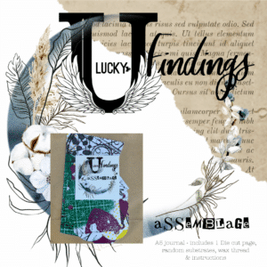 LUCKYfindings Assemblage - Butterfly Effect