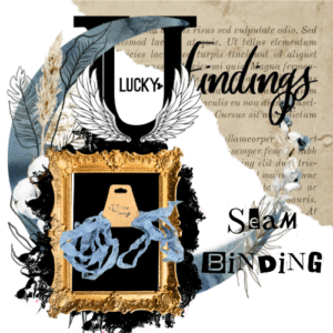 LUCKYfindings Seam Binding Ribbon - Queen Blue