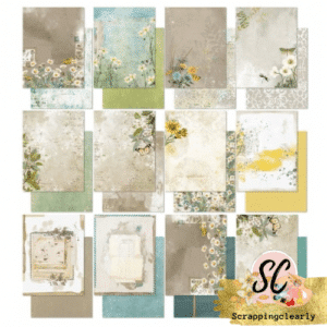 49 And Market Collection Pack 6"x8" - Krafty Garden