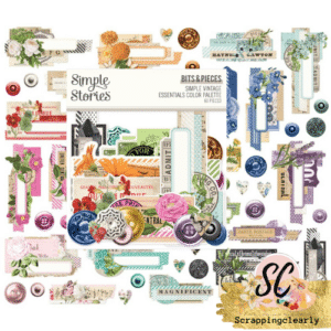 Simple Stories Bits & Pieces Die-Cuts 60//pk Essentials Colour Palette