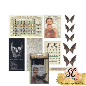 Idea-Ology Transparencies 11/Pkg - Halloween