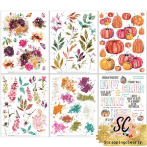 49 and Market ARToptions Spice Rub-on Transfer Set