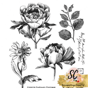 Tim Holtz Cling Stamps 7"X8.5" - French Garden