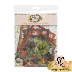 49 And Market Vintage Orchard Acetate Assortment