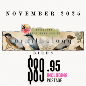 November Forager’s Field Note Series - ornithology