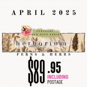 April Forager’s Field Note Series - herbarium