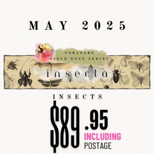 May Forager’s Field Note Series - insecta