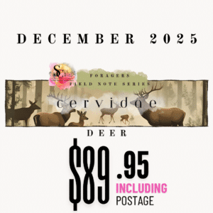 December Forager’s Field Note Series - cervidae
