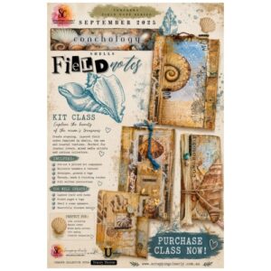 Forager’s Field Note Series - conchology