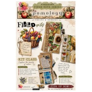 Forager’s Field Note Series - pomology