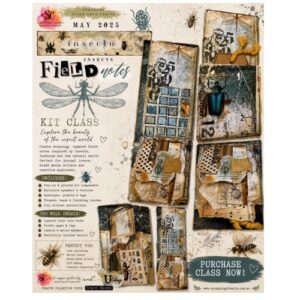 Forager’s Field Note Series - insecta