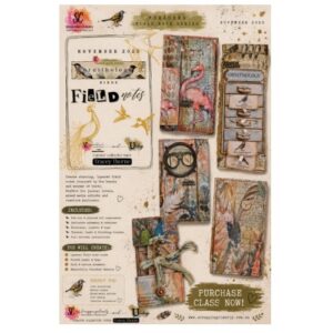 Forager’s Field Note Series - ornithology