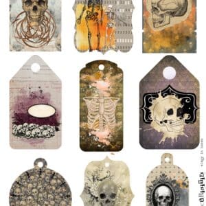 LUCKYfindings curiosities - elegy in bones
