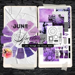 June - Spectrum Stories