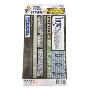 Rebekka Erickson Teenage Attitude Stickers Big Words - Boys