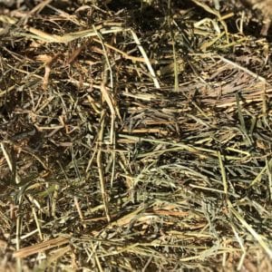 Italian Rye Grass Hay