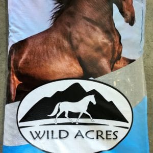 Black Sunflower Seeds